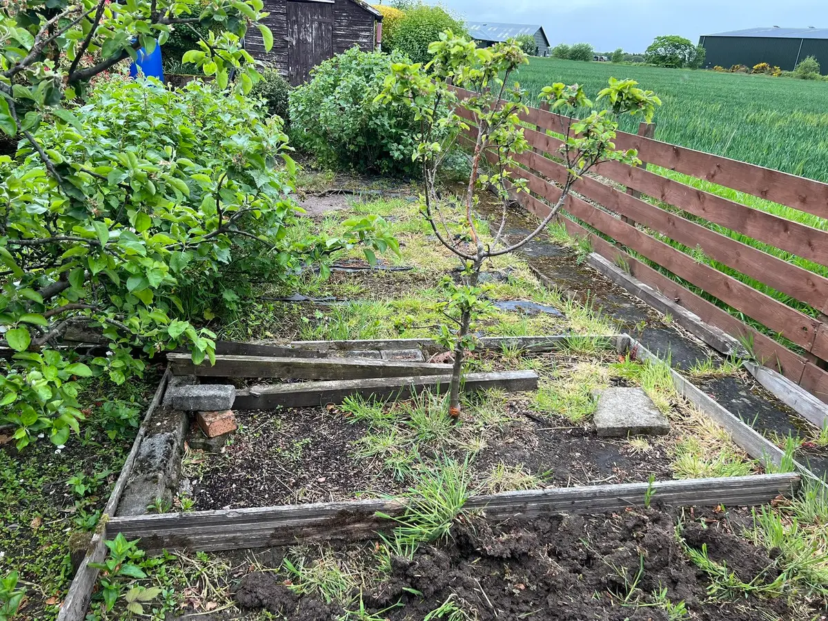 Wee job done! Here’s a wee before and some afters…
