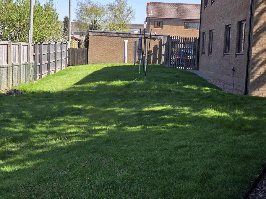Bright, freshly cut green lawn with a tidy fence line