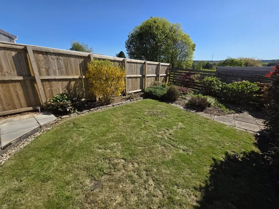 Tidy lawn with a clipped shrub border