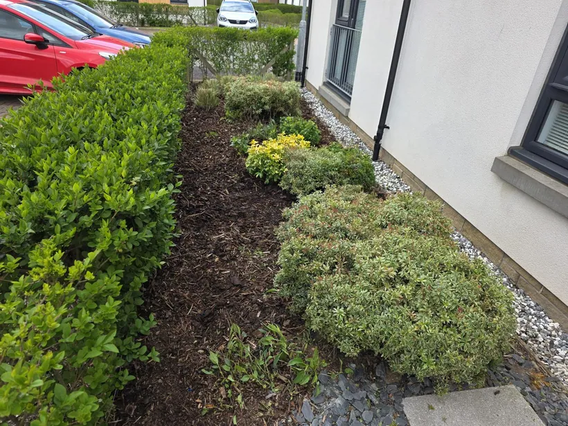 Weeding by Garry's Garden Services